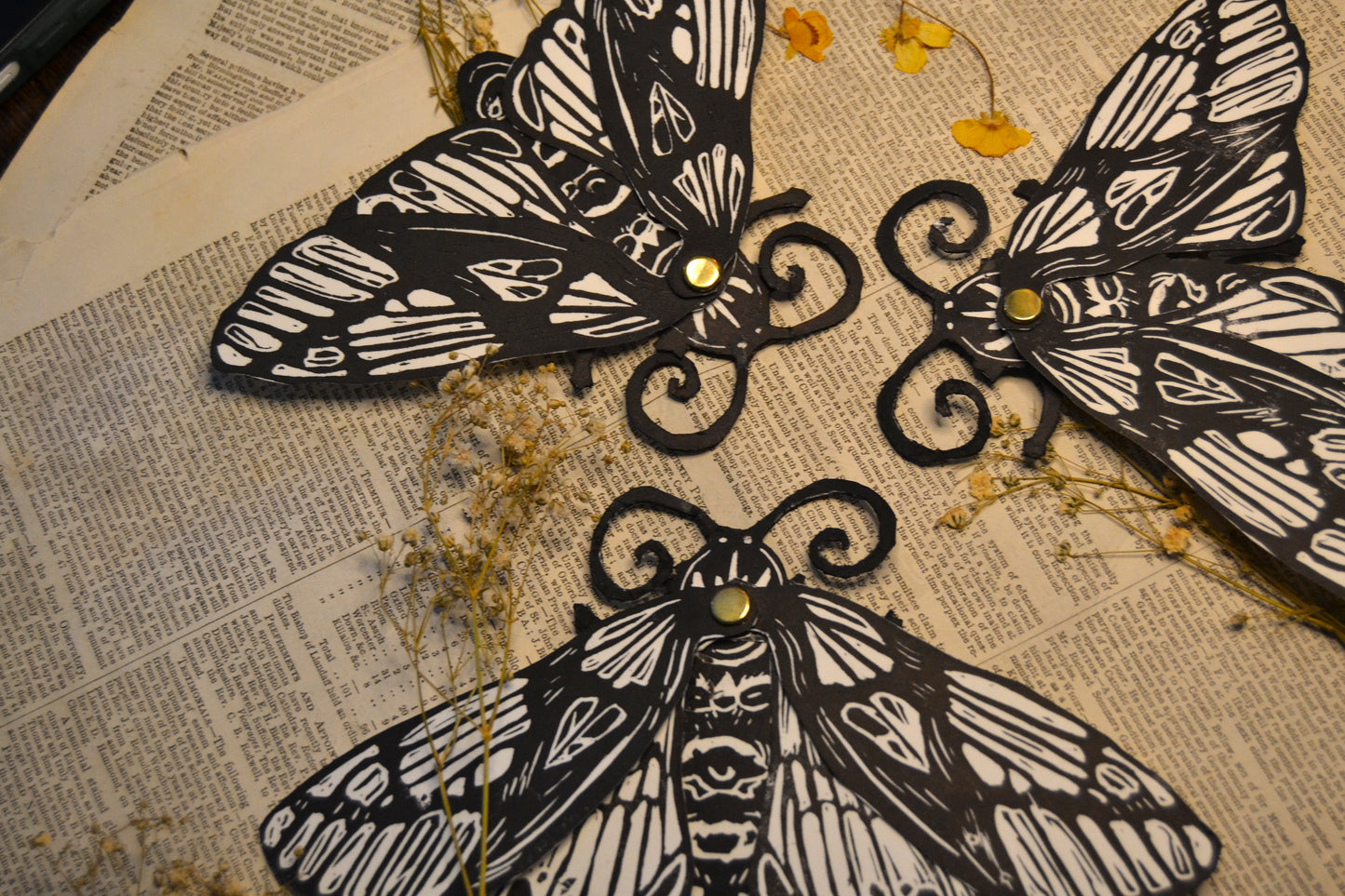Black and white Moth cutout on a textured surface with dried flowers.