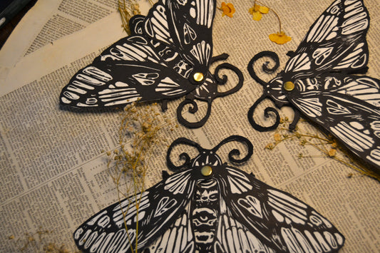 Black and white Moth cutout on a textured surface with dried flowers.